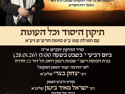 תיקון שובבים מודעה